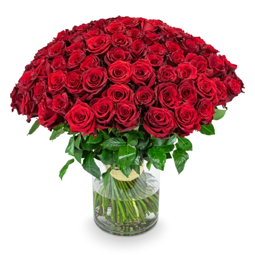 bouquet of roses